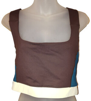 Interval Women’s Dark Brown Color Block Sleeveless Crop Top Size 2X BG25
